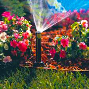 Garden Sprinkler