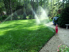 Grass Sprinkler